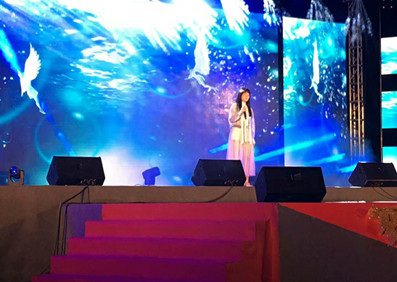 嘉賓 王強(qiáng)&汪晨蕊參演河源“不忘初心，攜手同行” 和平慰問(wèn)演出圓滿結(jié)束